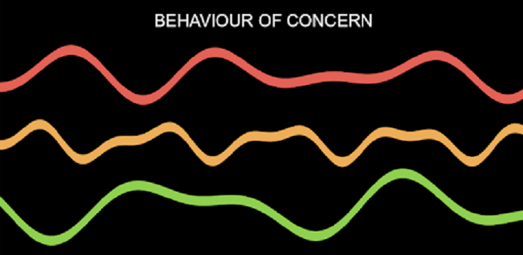 CHCCCS020 Assessment Answers – Respond Effectively to Behaviours of Concerns